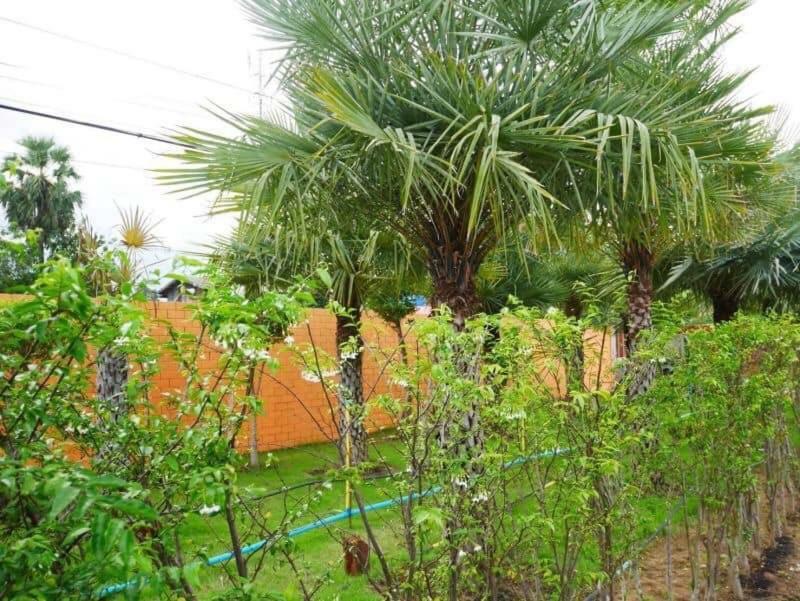 Tinna Resort Ban Nong Mai Ngam Exterior photo
